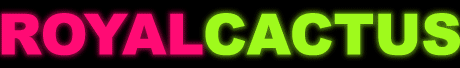 Jeux flash gratuits !